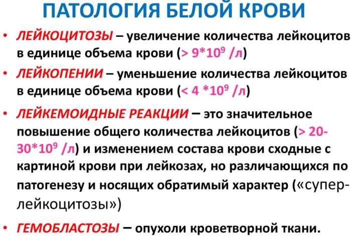 Заболевания крови у взрослых. Симптомы и причины