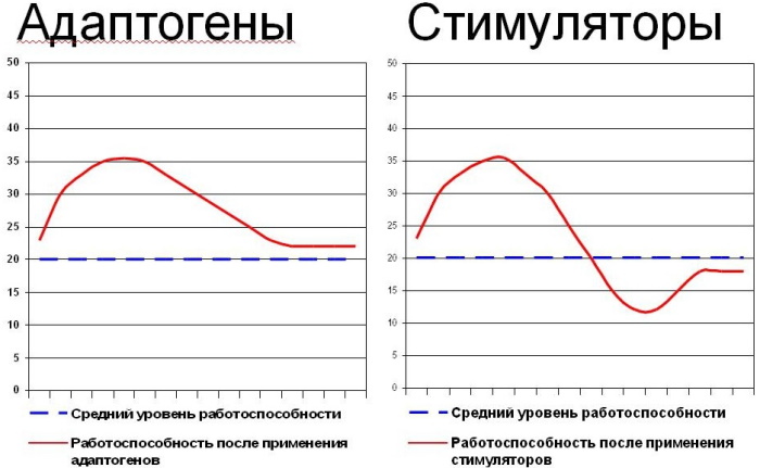 Адаптогены препараты. Список пожилым людям