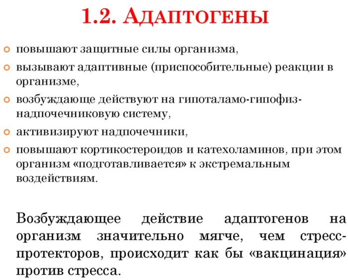 Адаптогены препараты. Список пожилым людям