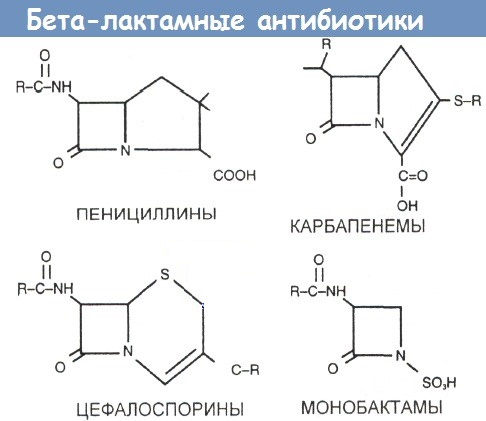 Б-лактамные антибиотики. Что это, перечень, классификация