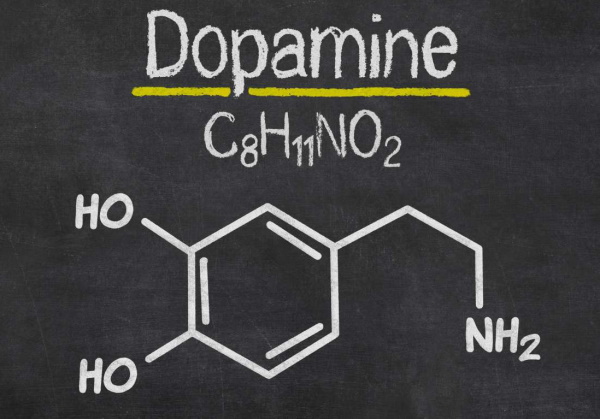 Дофамин гормон. Где содержится в продуктах, что это такое