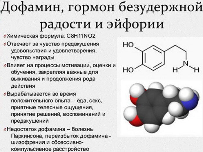 Дофамин гормон. Где содержится в продуктах, что это такое