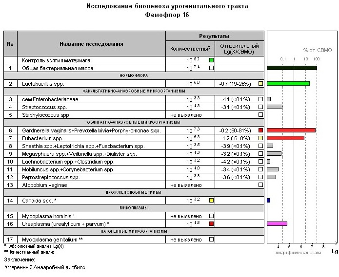 Фемофлор-16. Расшифровка у женщин, норма, таблица