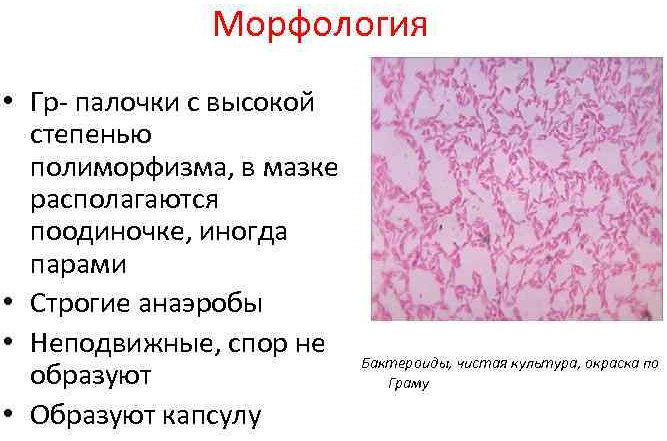 Фемофлор-16. Расшифровка у женщин, норма, таблица