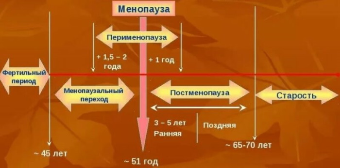 Как начинается менопаузы (климакс) у женщин. Симптомы, длительность цикла