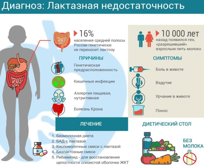 Лактазная недостаточность у взрослых. Симптомы, диагностика