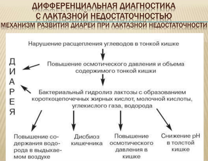 Лактазная недостаточность у взрослых. Симптомы, диагностика