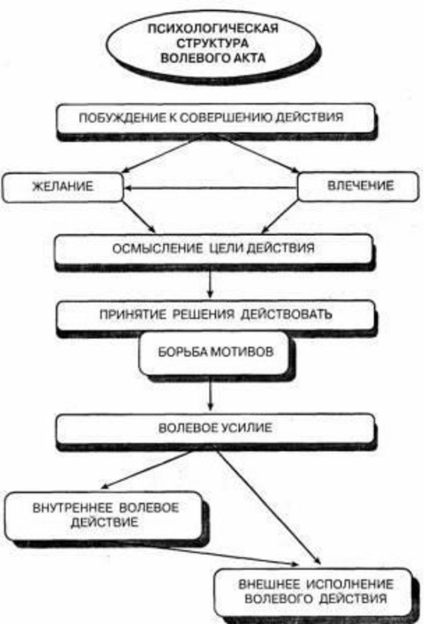 Мотив в психологии. Что это, определение, примеры