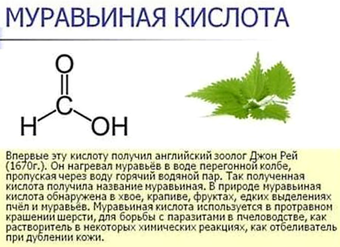 Муравьиная кислота презентация