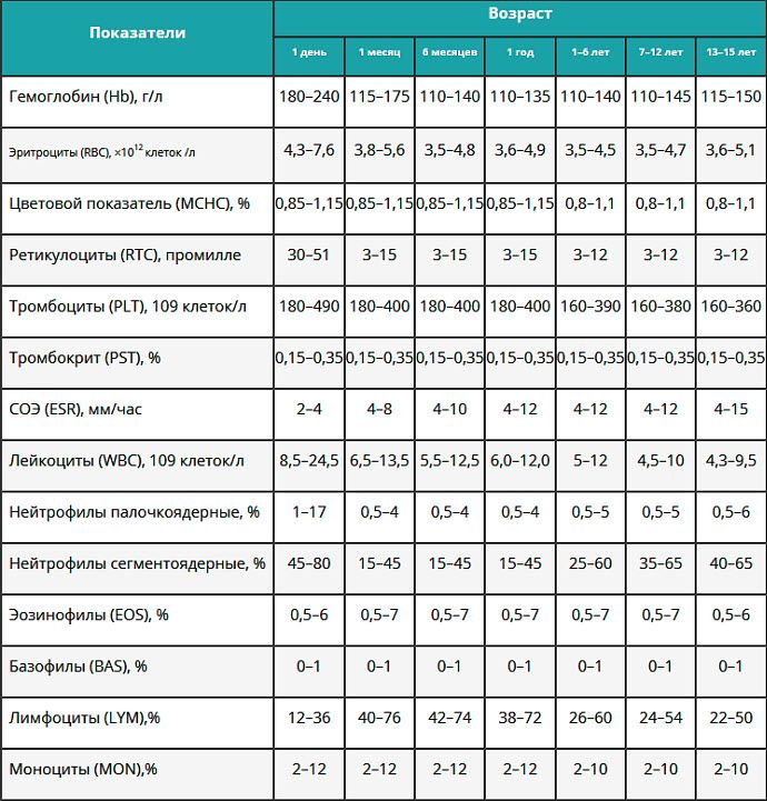 Клинический анализ крови. Расшифровка по распечатке, норма