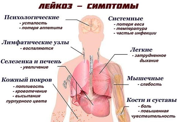 ОАК у детей: расшифровка, норма, таблица