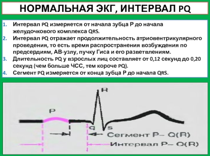 QRS комплекс ЭКГ: норма, тахикардия, что отражает узкие, широкие qrs