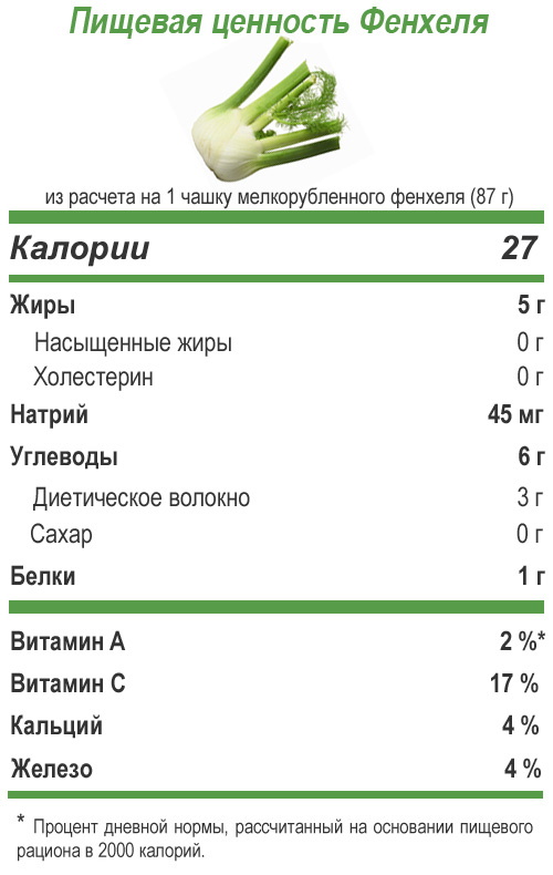 Семена фенхеля. Польза и вред, как принимать отвар