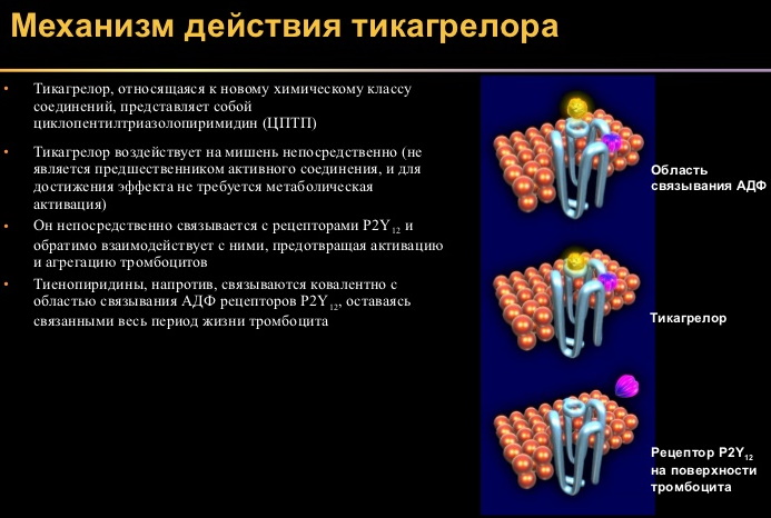 Тикагрелор 60-90 мг (Брилинта). Цена, инструкция по применению, отзывы