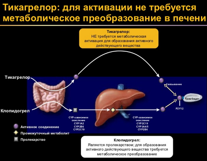 Тикагрелор 60-90 мг (Брилинта). Инструкция по применению, цена, отзывы