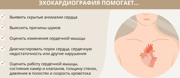 Эхокардиографии сердца у взрослых. Расшифровка, норма, таблица