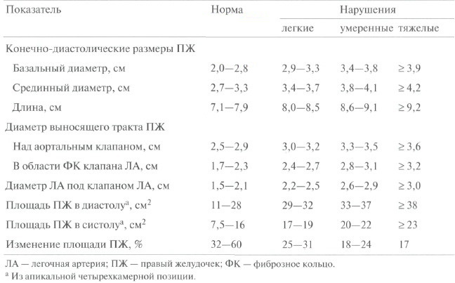 Эхокардиографии сердца у взрослых. Расшифровка, норма, таблица