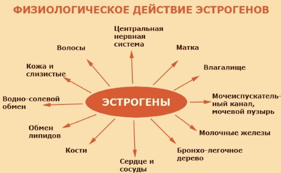 Эстрогенные препараты для женщин