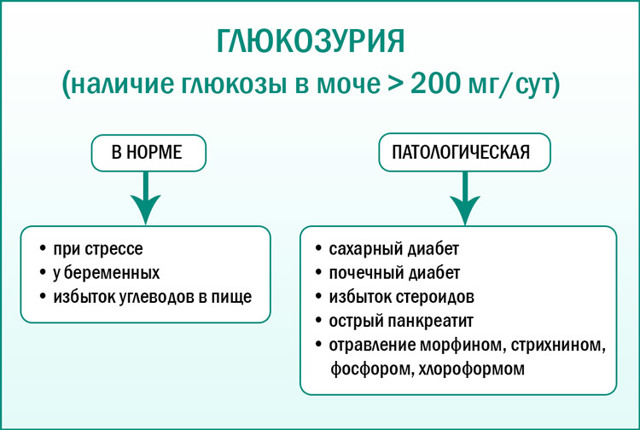 Как собрать мочу на бак посев на флору при беременности