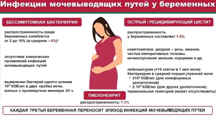 Как собрать мочу на бак посев на флору при беременности