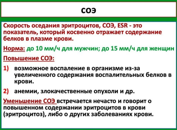 Клинический анализ крови. Расшифровка по распечатке, норма