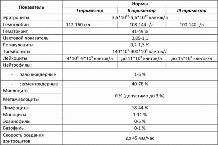 Клинический анализ крови. Расшифровка по распечатке, норма