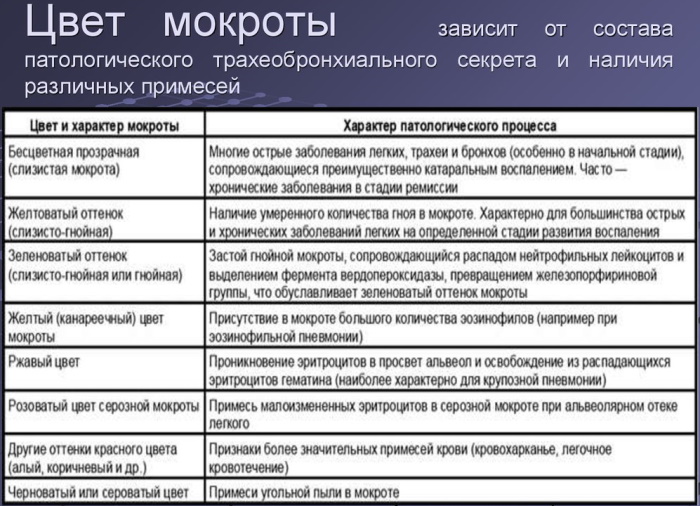 Мокрота в бронхах фото