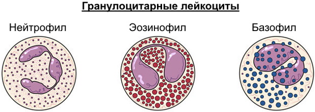 Показатели крови у детей. Норма до года, 3-7 лет и старше, таблица