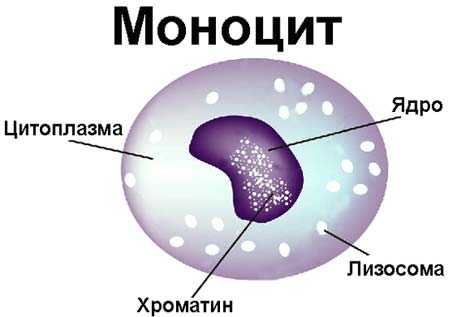 Показатели крови у детей. Норма до года, 3-7 лет и старше, таблица