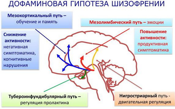 Шизотипическое расстройство личности. Симптомы и лечение