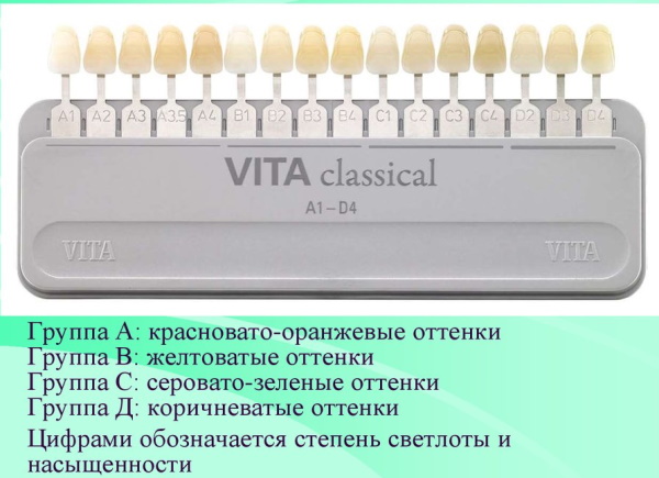 Шкала Вита цветов зубов. Фото, оттенки по номерам