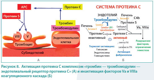 Свертываемость крови: норма у женщин из вены, пальца по возрасту