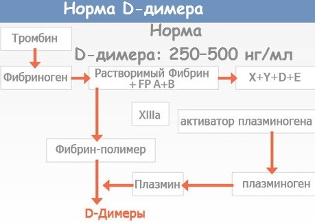 Свертываемость крови: норма у женщин из вены, пальца по возрасту