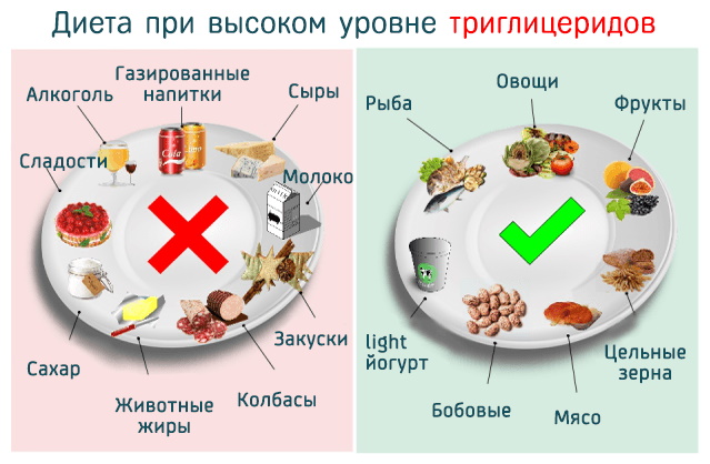 Триглицериды в крови. Нормы у женщин по возрасту. Таблица