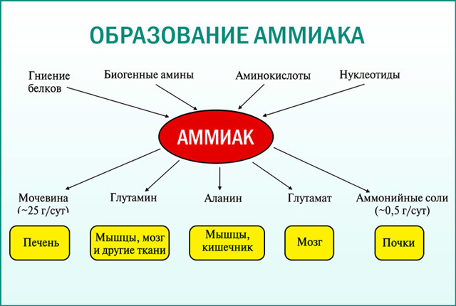 Патологические выделения у женщин фото