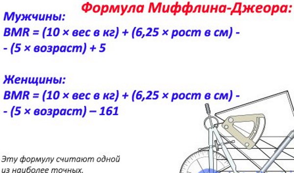 Базальный метаболизм (основной обмен веществ). Что это, как рассчитать уровень