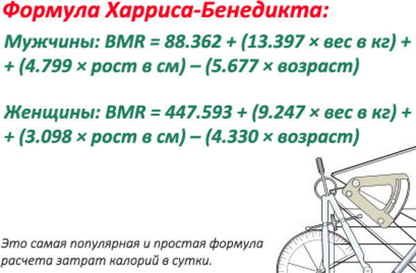 Базальный метаболизм (основной обмен веществ). Что это, как рассчитать уровень