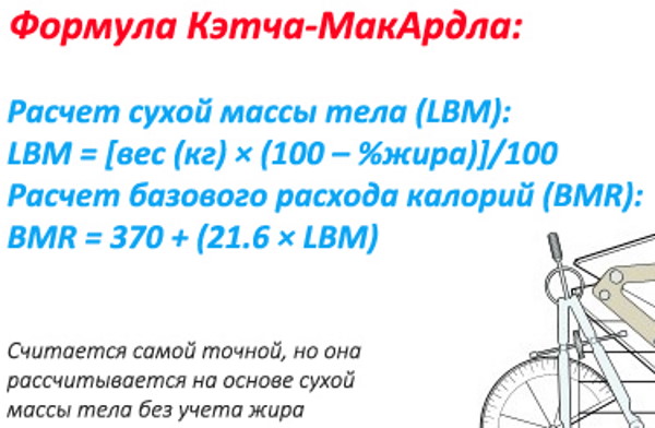 Базальный метаболизм (основной обмен веществ). Что это, как рассчитать уровень