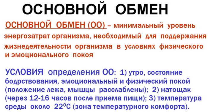 Базальный метаболизм (основной обмен веществ). Что это, как рассчитать уровень