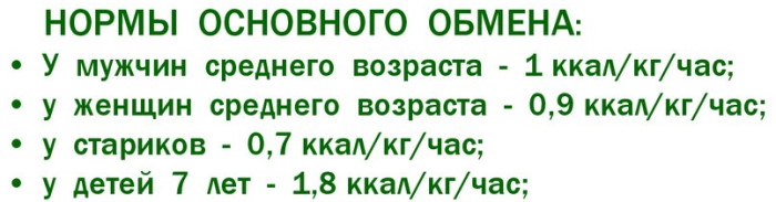 Базальный метаболизм (основной обмен веществ). Что это, как рассчитать уровень