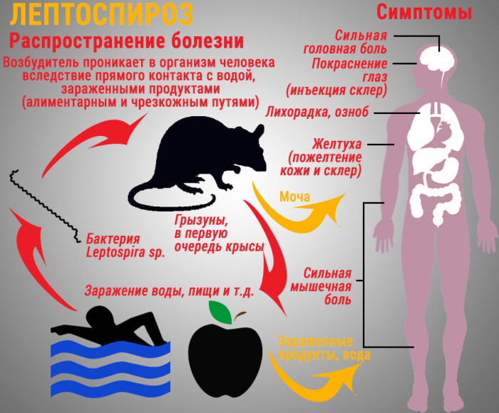 Дергается нижняя губа у взрослого. Причины