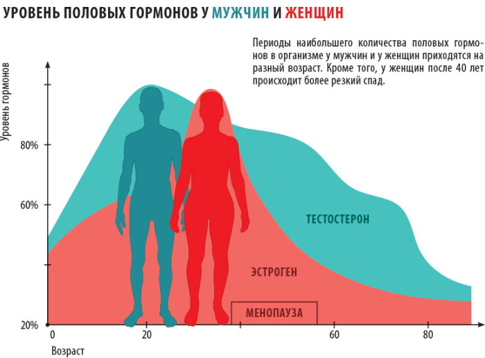 Гормональная терапия. Что это для мужчин, женщин, виды