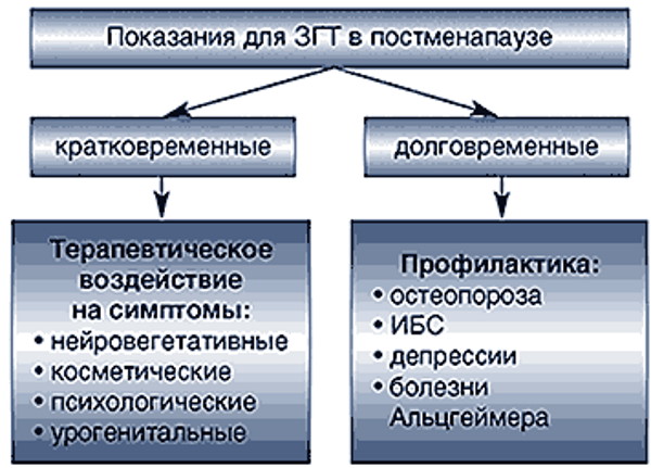 Гормональная терапия. Что это для мужчин, женщин, виды