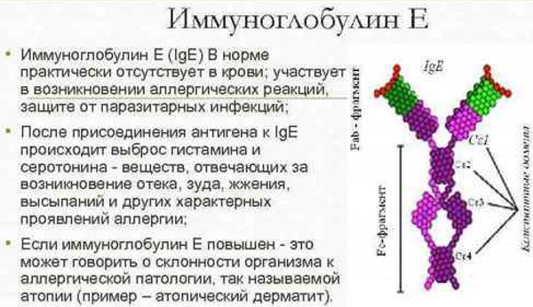 IGE общий норма у детей, подростков в ме/мл