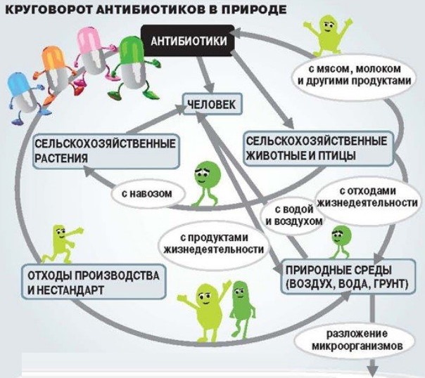 Как антибиотики влияют на организм человека