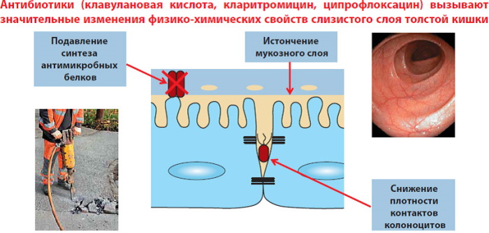 Как антибиотики влияют на организм человека