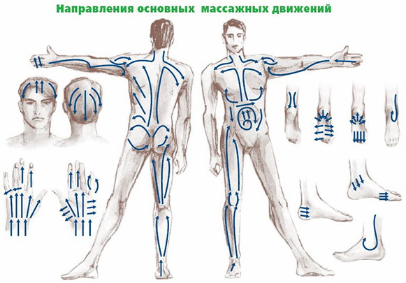 Лимфатическая система (лимфа). Как улучшить, разогнать, восстановить