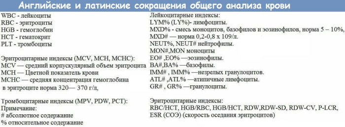 PLT в анализе крови у ребенка: норма, повышены, понижен