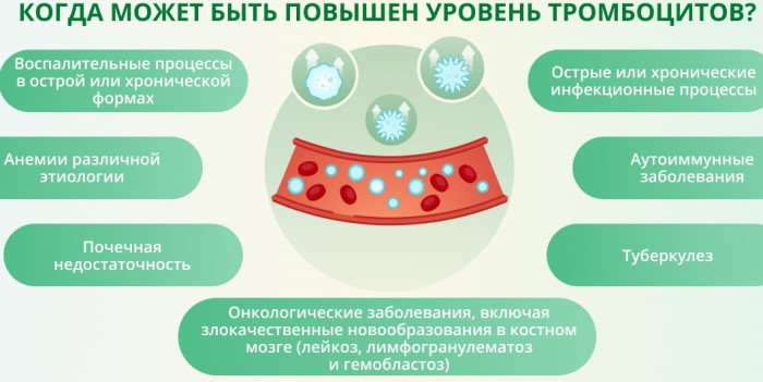 PLT в анализе крови у ребенка: норма, повышены, понижен