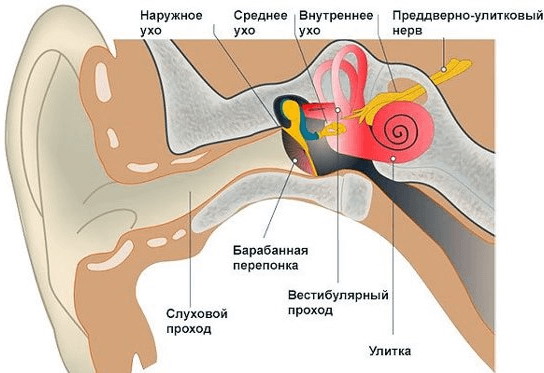 Кружится голова при повороте, лежа и при вставании. Причины